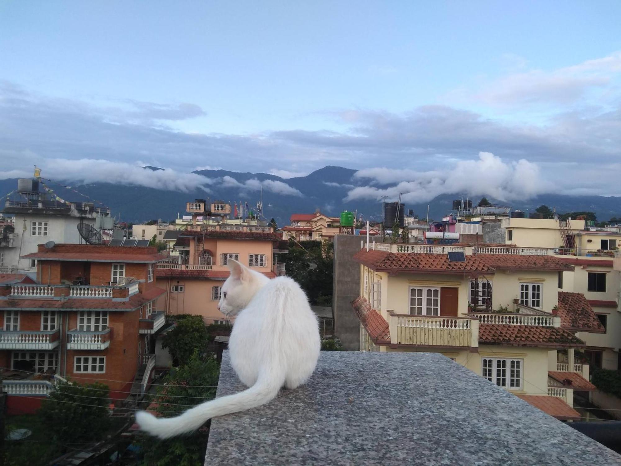Family Home With Rooftop Access And Mountain View Katmandu Eksteriør billede